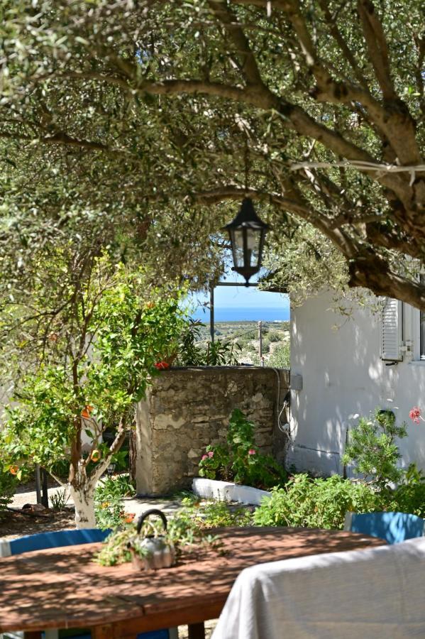To Spiti Tou Papa Sto Vouno Guest House Kamilari Exterior photo