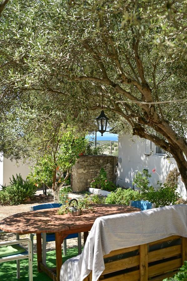 To Spiti Tou Papa Sto Vouno Guest House Kamilari Exterior photo